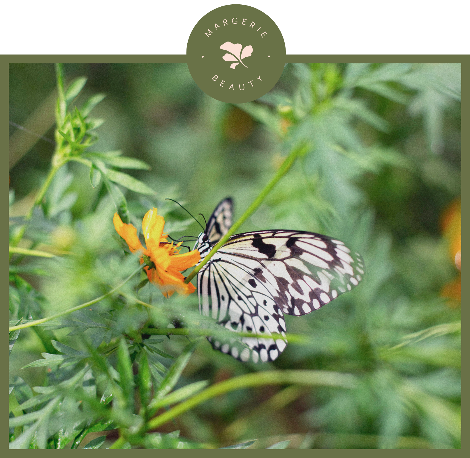 Biodiversité et cosmétique | des liens étroits à repenser