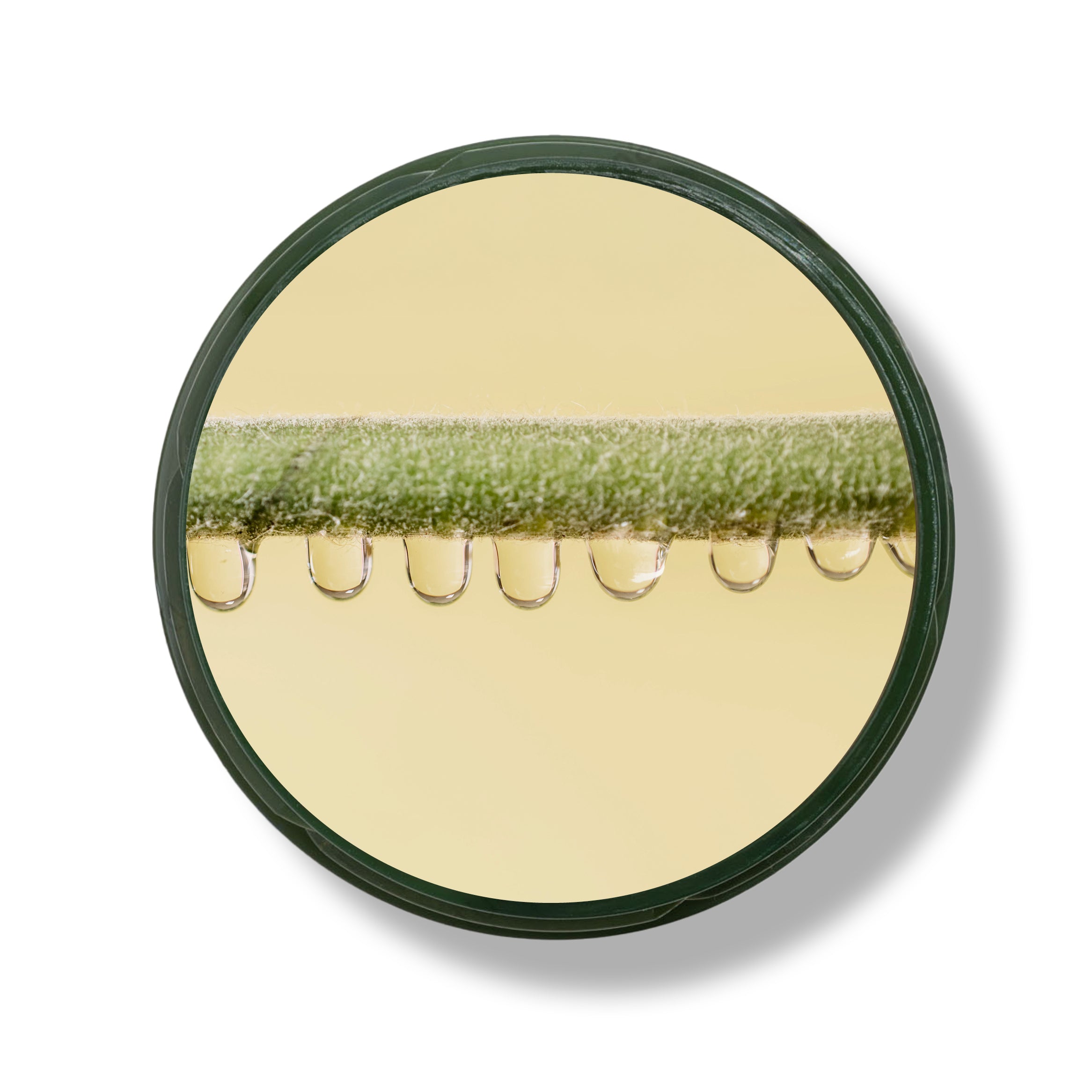 Plant keratin