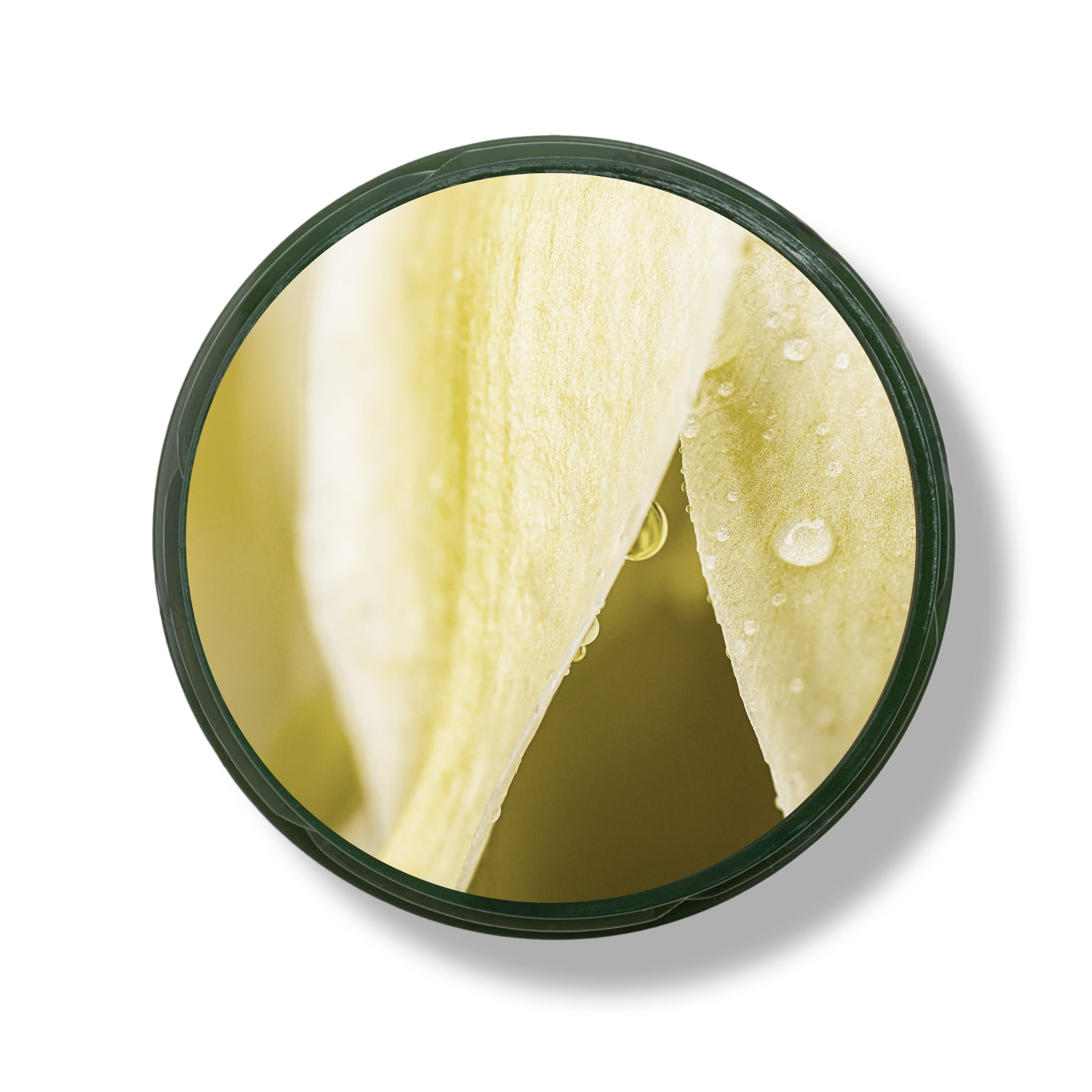 Organic vanilla oil macerate (Madagascar)
