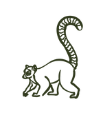 MARGERIE_PICTOGRAMMES_LEMURIEN.png